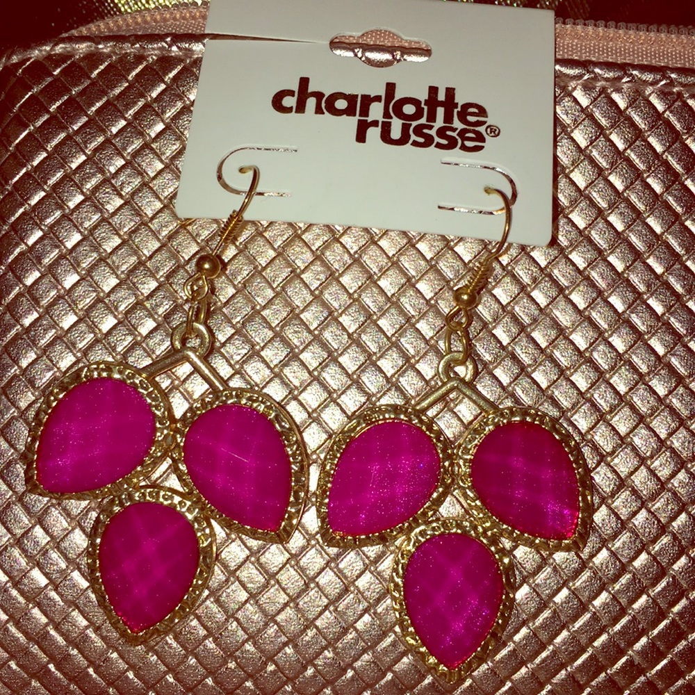 These are beautiful earrings from Charlotte Russe!
